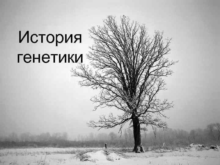 История генетики 
