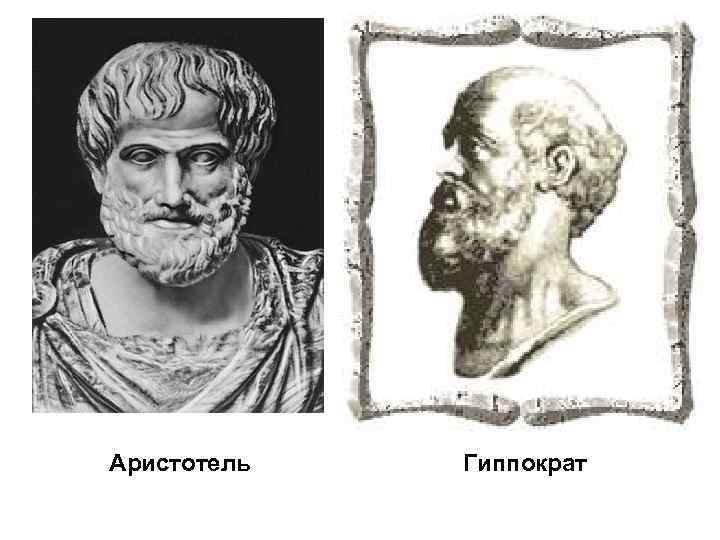 Аристотель Гиппократ 