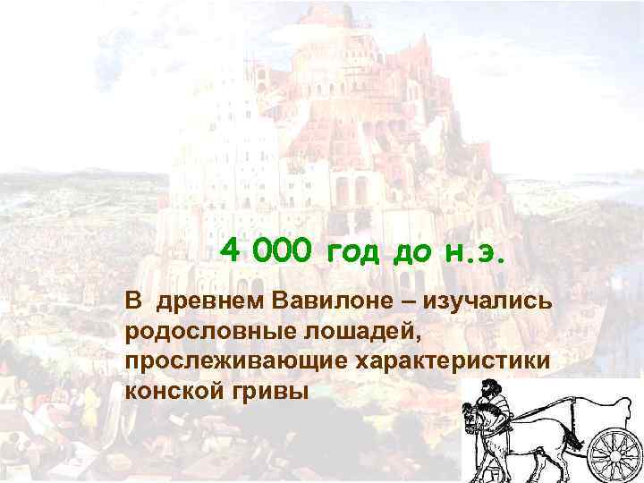 4 000 год до н. э. В древнем Вавилоне – изучались родословные лошадей, прослеживающие
