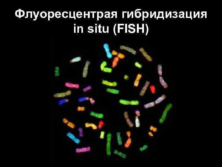 Флуоресцентрая гибридизация in situ (FISH) 
