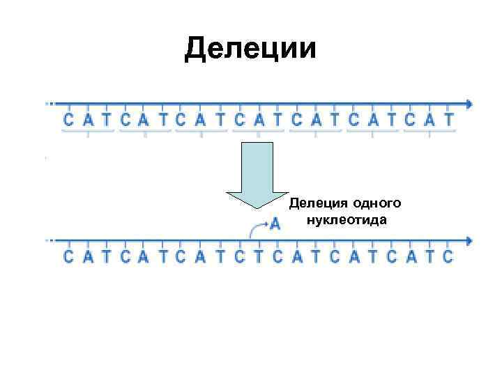 Делеции Делеция одного нуклеотида 