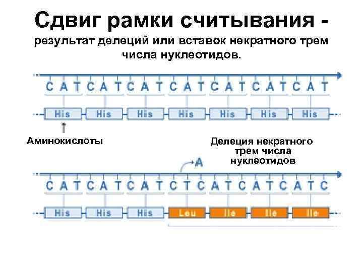 Рамка считывания