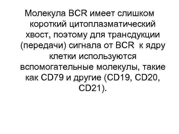 Молекула BCR имеет слишком короткий цитоплазматический хвост, поэтому для трансдукции (передачи) сигнала от BCR