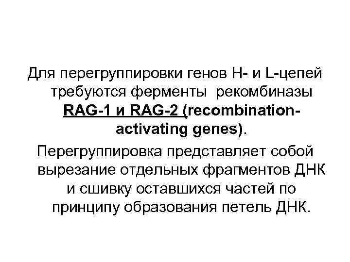 Для перегруппировки генов H- и L-цепей требуются ферменты рекомбиназы RAG-1 и RAG-2 (recombinationactivating genes).