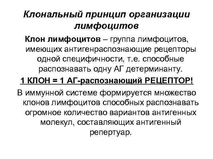 Клональный принцип организации лимфоцитов Клон лимфоцитов – группа лимфоцитов, имеющих антигенраспознающие рецепторы одной специфичности,