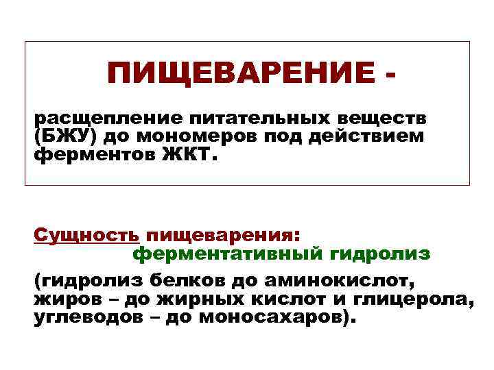 ПИЩЕВАРЕНИЕ расщепление питательных веществ (БЖУ) до мономеров под действием ферментов ЖКТ. Сущность пищеварения: ферментативный