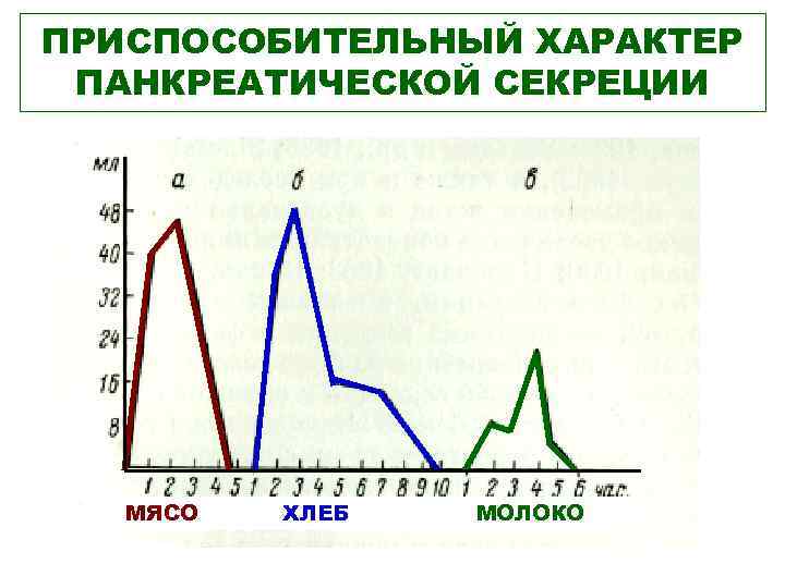 ПРИСПОСОБИТЕЛЬНЫЙ ХАРАКТЕР ПАНКРЕАТИЧЕСКОЙ СЕКРЕЦИИ МЯСО ХЛЕБ МОЛОКО 