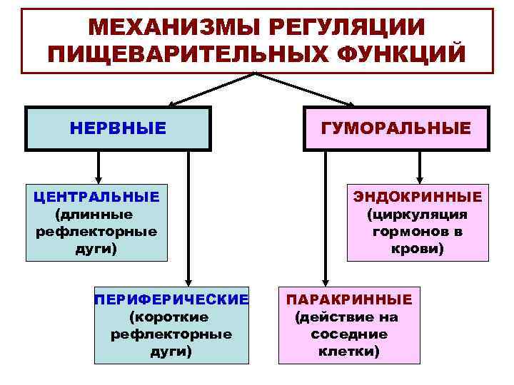 МЕХАНИЗМЫ РЕГУЛЯЦИИ ПИЩЕВАРИТЕЛЬНЫХ ФУНКЦИЙ НЕРВНЫЕ ЦЕНТРАЛЬНЫЕ (длинные рефлекторные дуги) ПЕРИФЕРИЧЕСКИЕ (короткие рефлекторные дуги) ГУМОРАЛЬНЫЕ