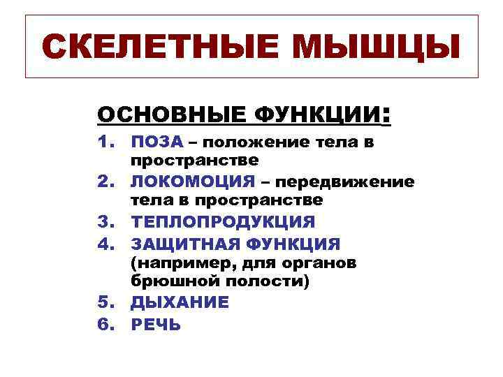 СКЕЛЕТНЫЕ МЫШЦЫ ОСНОВНЫЕ ФУНКЦИИ: 1. ПОЗА – положение тела в пространстве 2. ЛОКОМОЦИЯ –