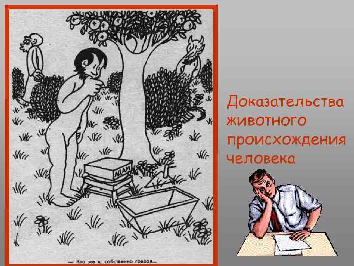 Доказательства животного происхождения человека 
