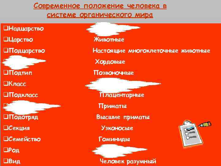 Современное положение человека в системе органического мира q. Надцарство Эукариоты q. Царство Животные q.
