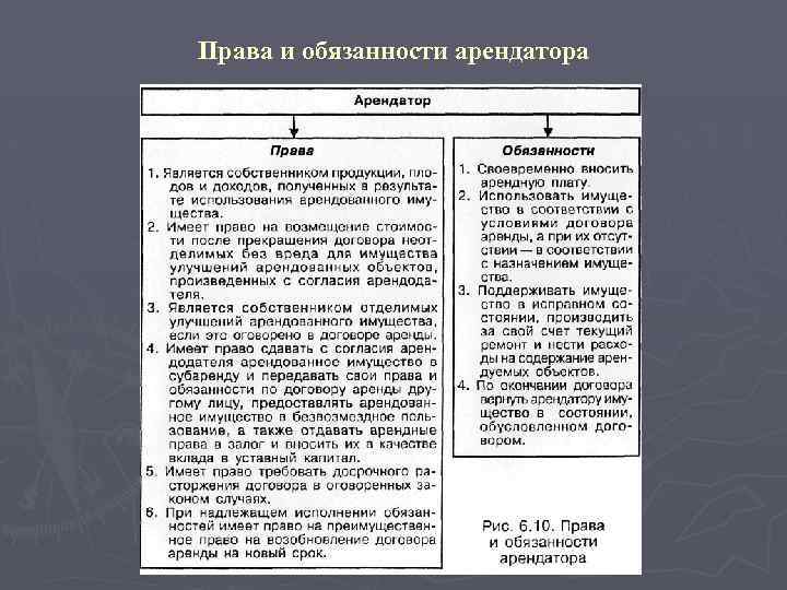 Права и обязанности арендатора 