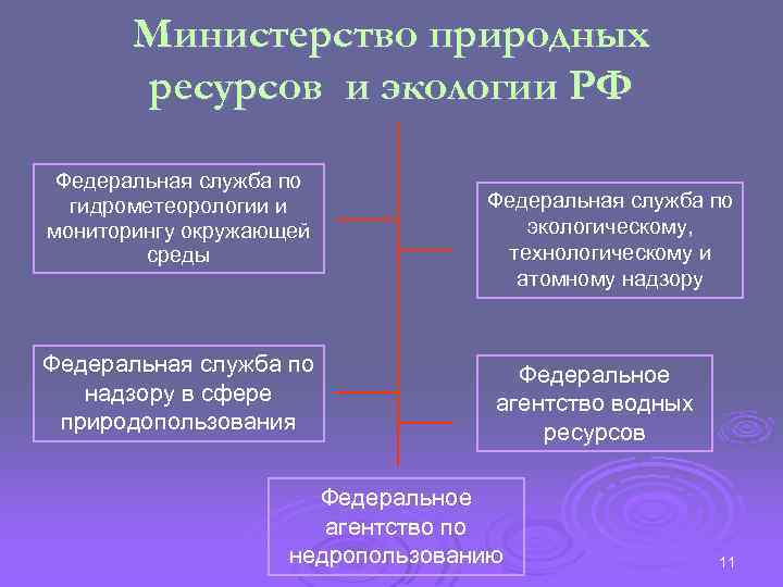 Министерство природных ресурсов и экологии РФ Федеральная служба по гидрометеорологии и мониторингу окружающей среды