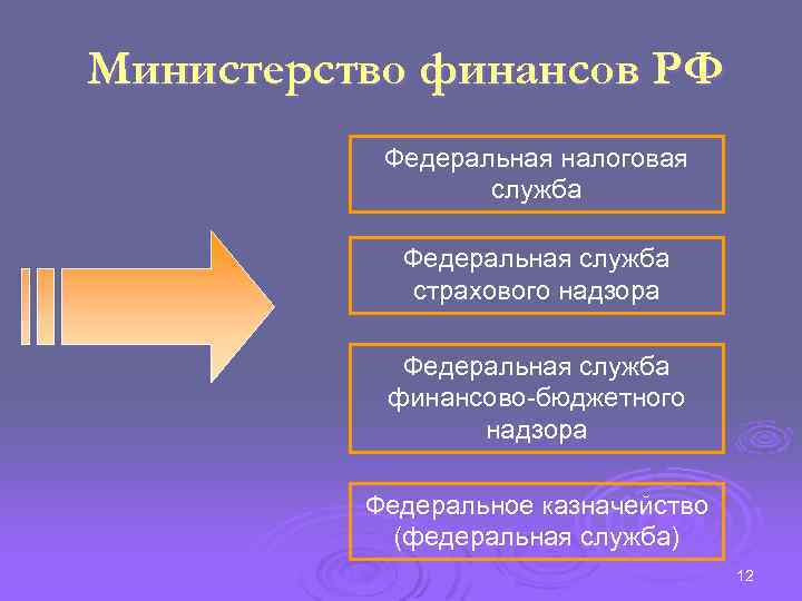 Министерство финансов РФ Федеральная налоговая служба Федеральная служба страхового надзора Федеральная служба финансово-бюджетного надзора