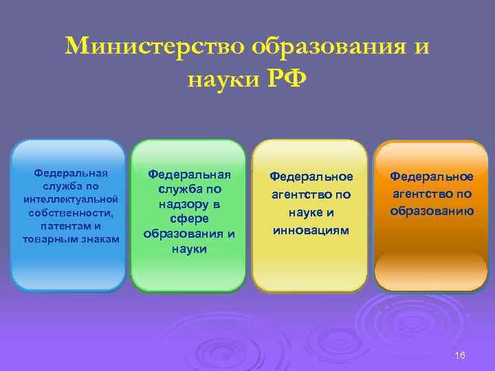 Министерство образования и науки РФ Федеральная служба по интеллектуальной собственности, патентам и товарным знакам