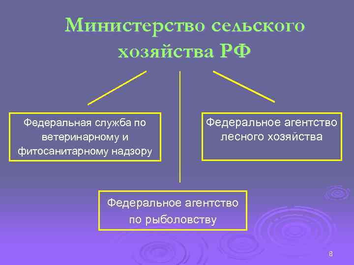 Министерство сельского хозяйства РФ Федеральная служба по ветеринарному и фитосанитарному надзору Федеральное агентство лесного