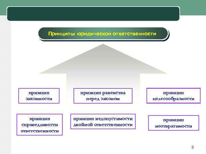 1 юридическая. Принцип неотвратимости наказания юридической ответственности. Принципы юридической ответственности. Принцип неотвратимости юр ответственности. Принцип равенства юридической ответственности.