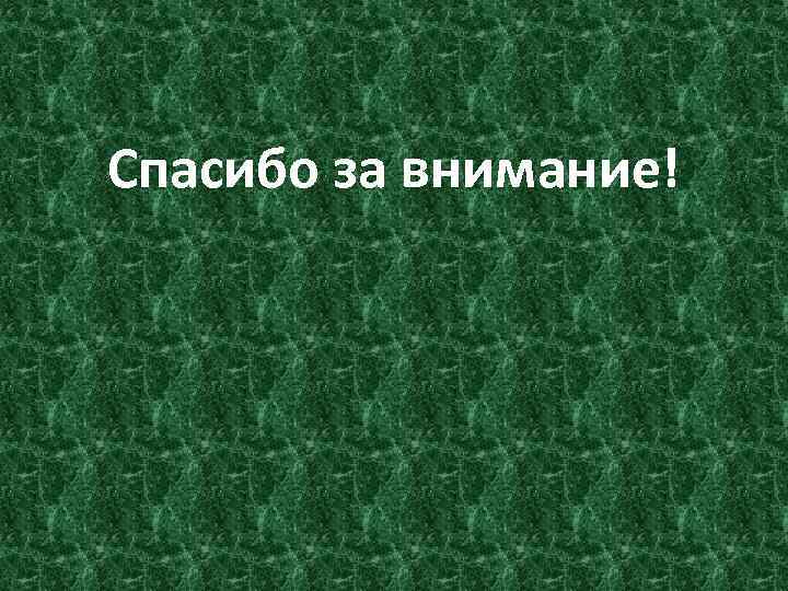 Спасибо за внимание! 