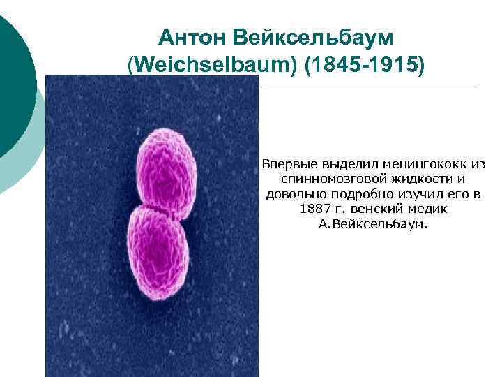 Антон Вейксельбаум (Weichselbaum) (1845 -1915) Впервые выделил менингококк из спинномозговой жидкости и довольно подробно