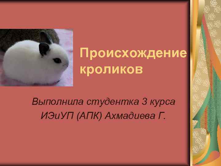 Происхождение кроликов Выполнила студентка 3 курса ИЭи. УП (АПК) Ахмадиева Г. 
