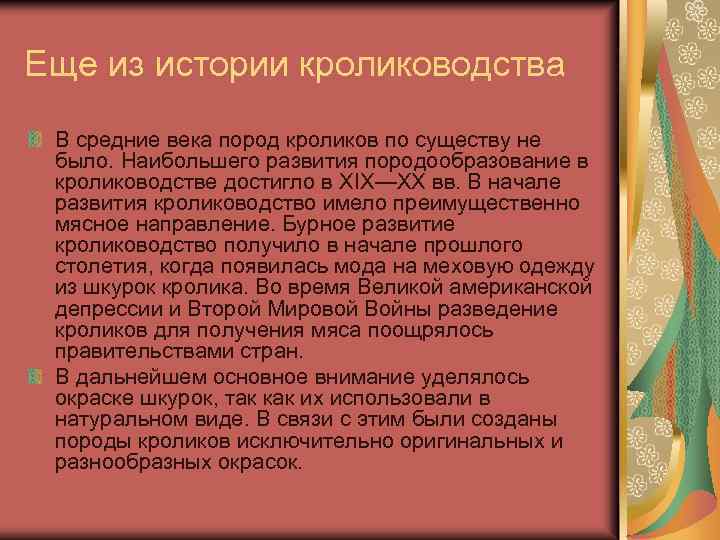 Еще из истории кролиководства В средние века пород кроликов по существу не было. Наибольшего
