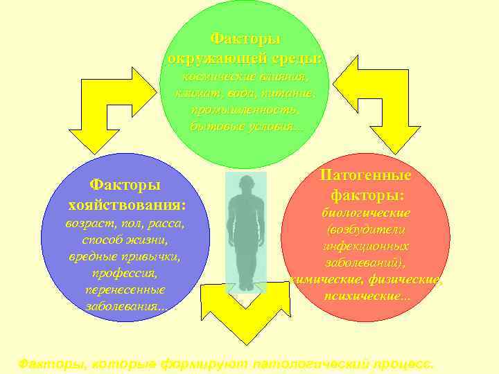 Факторы окружающей среды: космические влияния, климат, вода, питание, промышленность, бытовые условия. . . Факторы
