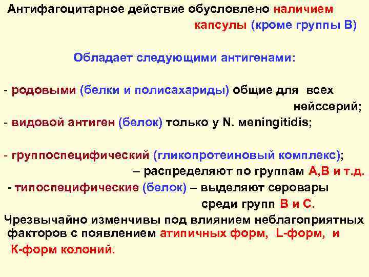 Антифагоцитарное действие обусловлено наличием капсулы (кроме группы В) Обладает следующими антигенами: - родовыми (белки