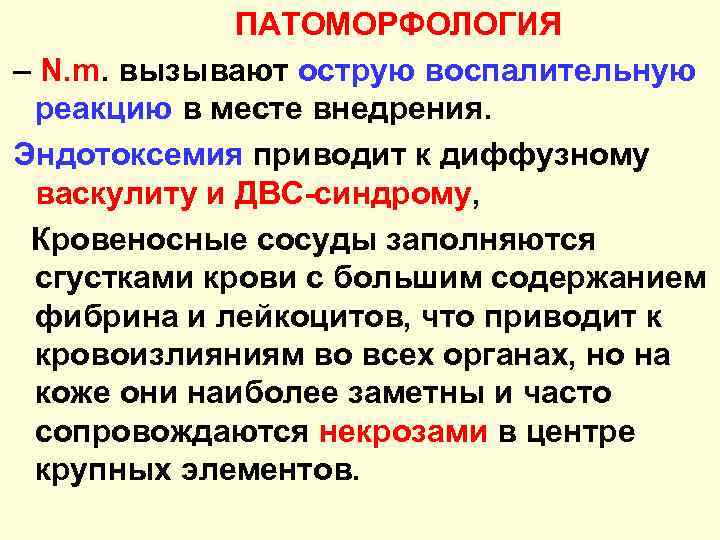 ПАТОМОРФОЛОГИЯ – N. m. вызывают острую воспалительную реакцию в месте внедрения. Эндотоксемия приводит к