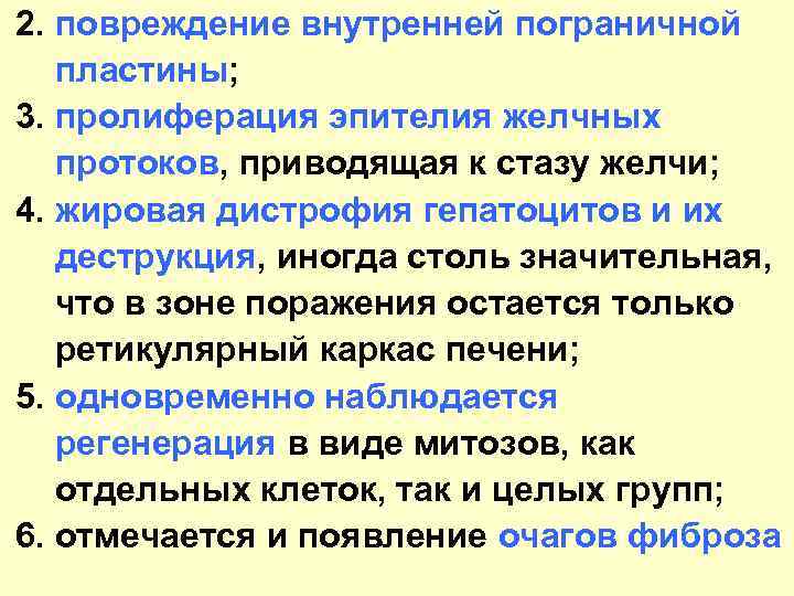 2. повреждение внутренней пограничной пластины; 3. пролиферация эпителия желчных протоков, приводящая к стазу желчи;