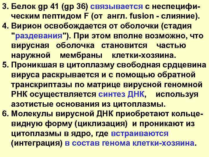 3. Белок gp 41 (gp 36) связывается с неспецифи- ческим пептидом F (от англ.