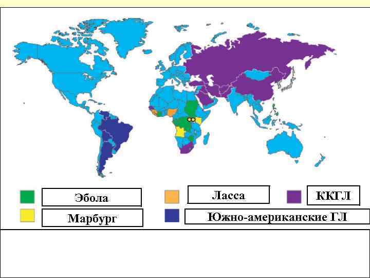Эбола Марбург Ласса ККГЛ Южно-американские ГЛ 