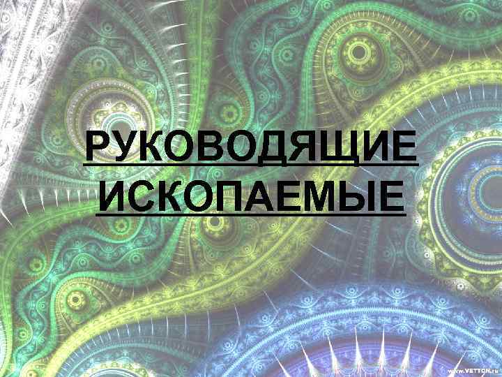 РУКОВОДЯЩИЕ ИСКОПАЕМЫЕ 