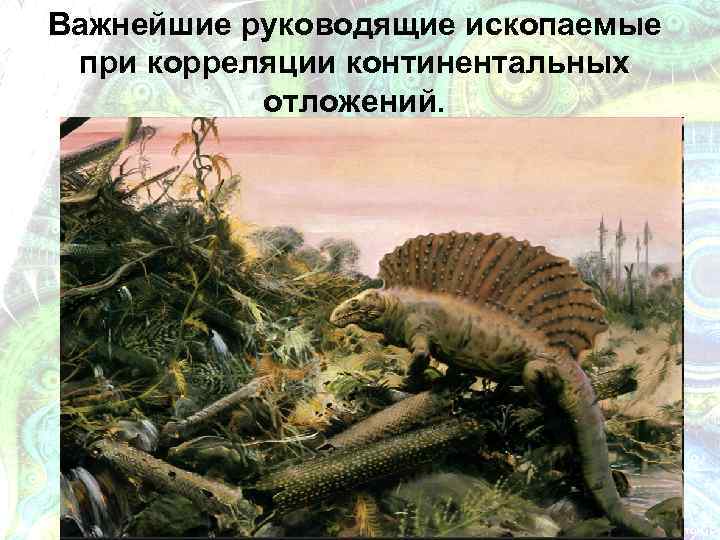 Важнейшие руководящие ископаемые при корреляции континентальных отложений. 