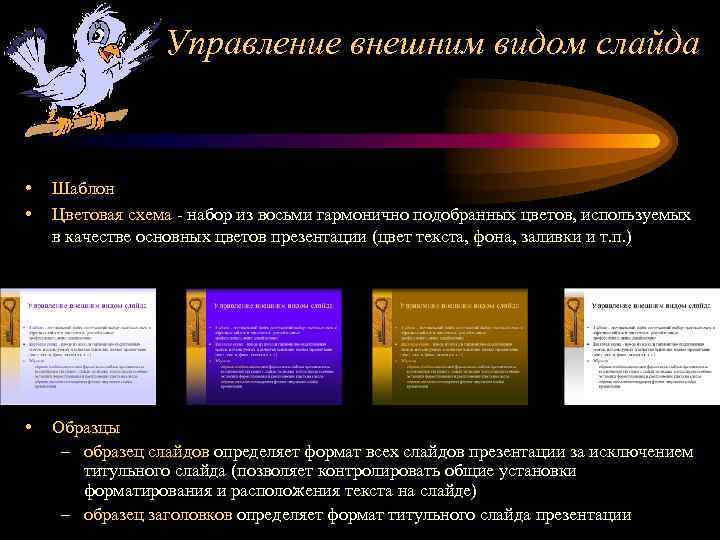 Управление внешним видом слайда • • Шаблон Цветовая схема - набор из восьми гармонично