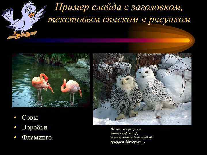 Пример слайда с заголовком, текстовым списком и рисунком • Совы • Воробьи • Фламинго