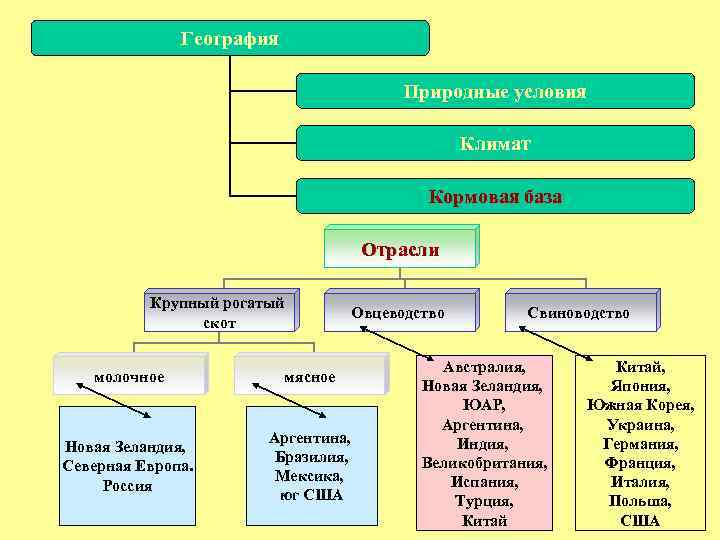 География Природные условия Климат Кормовая база Отрасли Крупный рогатый скот молочное мясное Новая Зеландия,