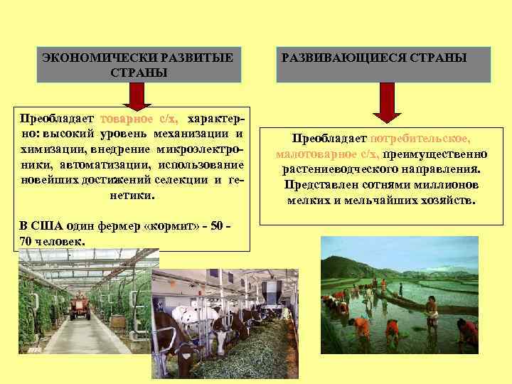 В каких странах преобладает нематериальная сфера хозяйства. Достижениях агропромышленного комплекса страны. Структура агропромышленного комплекса. В экономически развитых странах преобладает с/х. Сельское хозяйство экономически развитых странах.