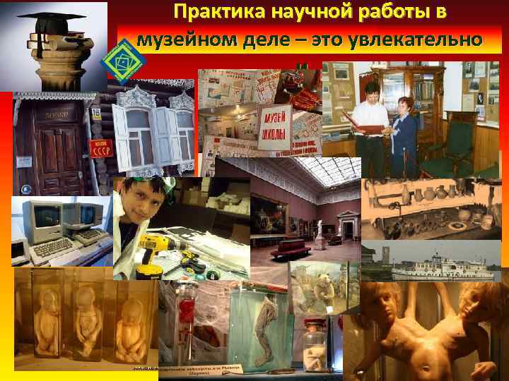 Практика научной работы в музейном деле – это увлекательно и… 