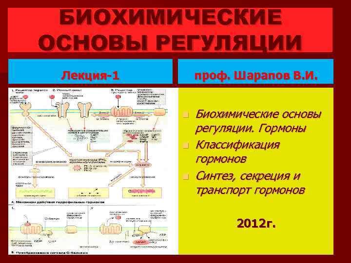 Основная регуляция. Биохимические основы гормональной регуляции. Биохимические основы гормональной регуляции в норме и при патологии. Механизмы регуляции биохимических процессов. Регуляция скоростей биохимических процессов.