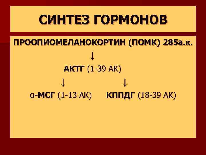 СИНТЕЗ ГОРМОНОВ ПРООПИОМЕЛАНОКОРТИН (ПОМК) 285 а. к. ↓ АКТГ (1 -39 АК) ↓ α-МСГ