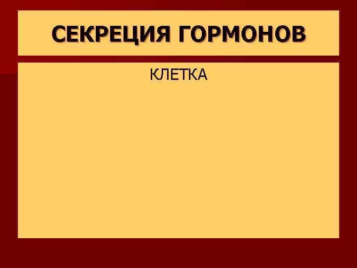 СЕКРЕЦИЯ ГОРМОНОВ КЛЕТКА 