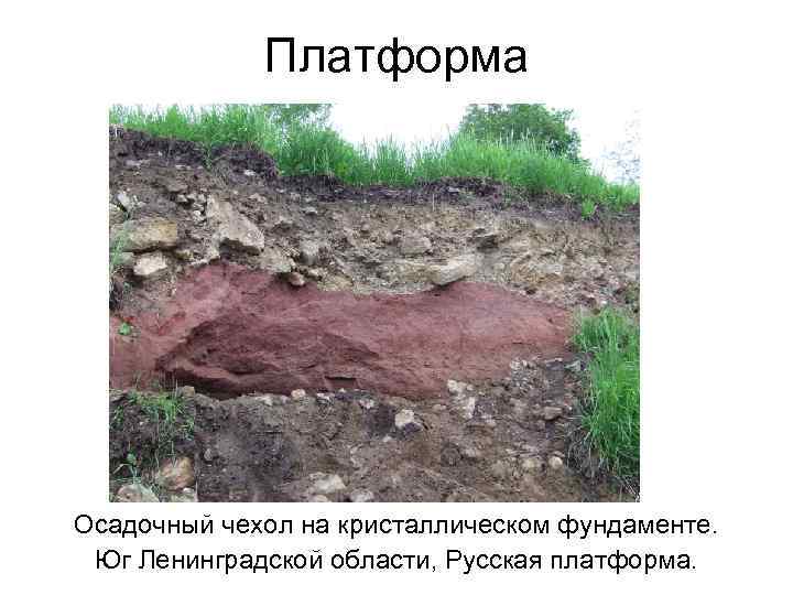 Платформа Осадочный чехол на кристаллическом фундаменте. Юг Ленинградской области, Русская платформа. 