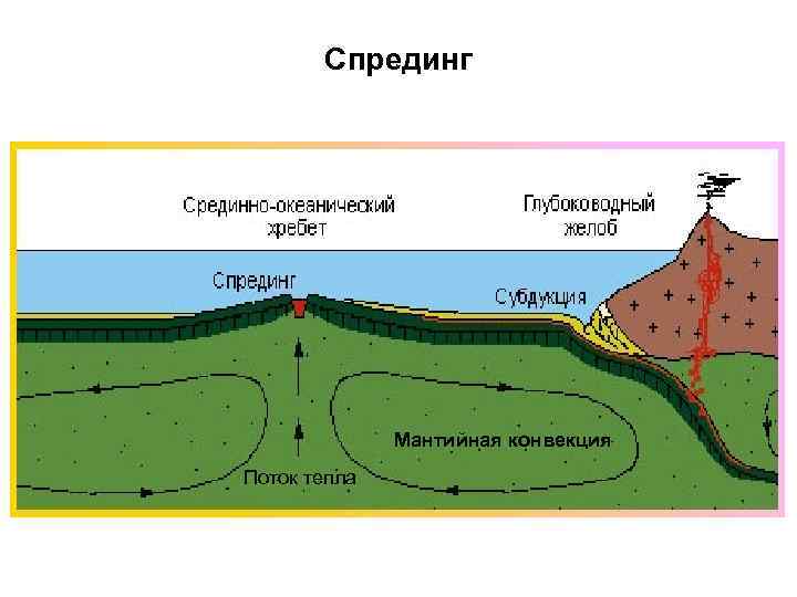 Спрединг Мантийная конвекция Поток тепла 