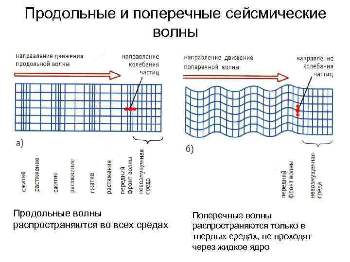 Продольные и поперечные сейсмические волны Продольные волны распространяются во всех средах Поперечные волны распространяются