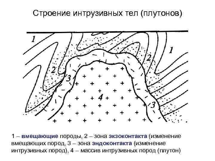 Строение интрузивных тел (плутонов) 1 – вмещающие породы, 2 – зона экзоконтакта (изменение вмещающих