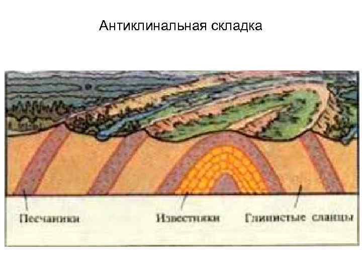 Нарисовать в разрезе наклонную сундучную антиклинальную складку