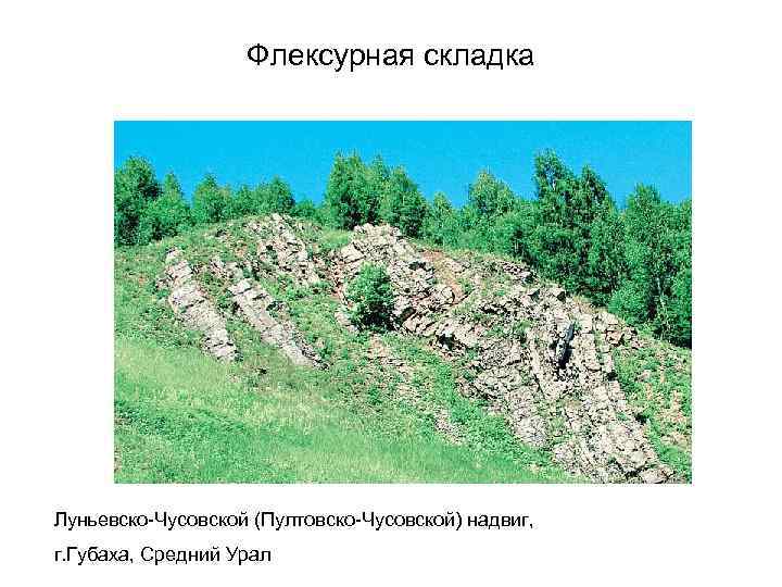 Флексурная складка Луньевско-Чусовской (Пултовско-Чусовской) надвиг, г. Губаха, Средний Урал 