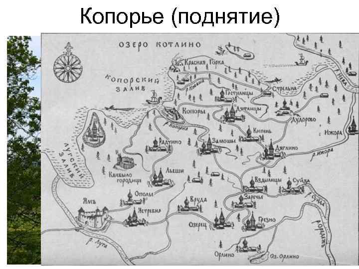 Копорье (поднятие) 