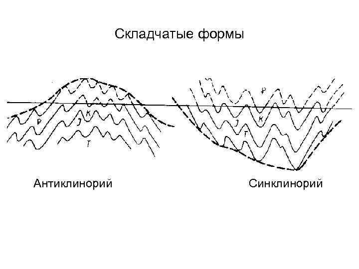 Складчатые формы Антиклинорий Синклинорий 