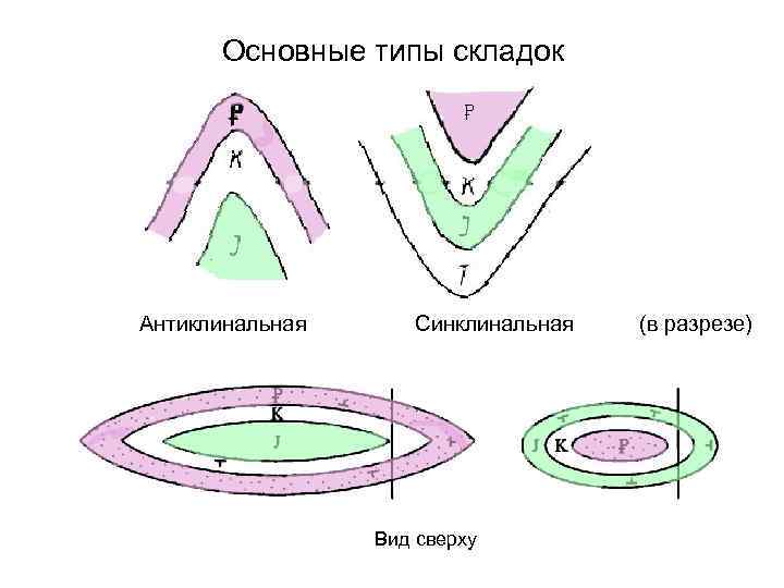 Основные типы складок Антиклинальная Синклинальная Вид сверху (в разрезе) 